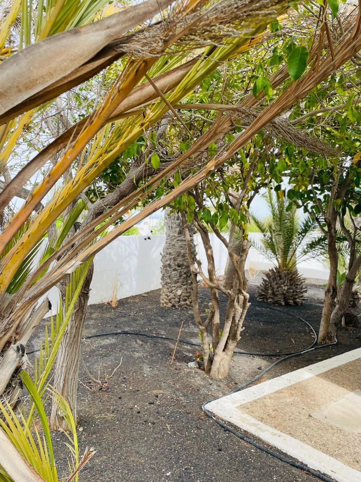 Villa Rosa Πουέρτο Ντελ Κάρμεν Εξωτερικό φωτογραφία
